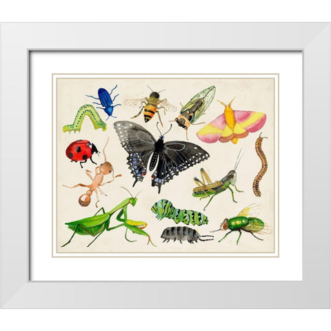 Bugdom I White Modern Wood Framed Art Print with Double Matting by Ludwig, Alicia