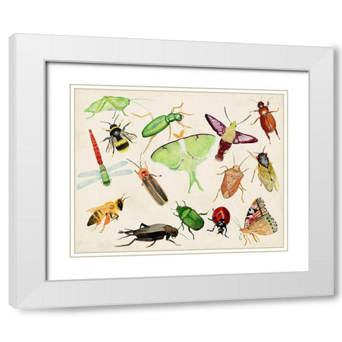 Bugdom II White Modern Wood Framed Art Print with Double Matting by Ludwig, Alicia