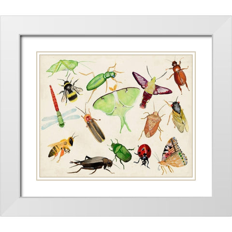 Bugdom II White Modern Wood Framed Art Print with Double Matting by Ludwig, Alicia
