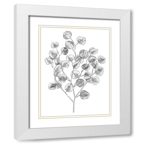 Eucalyptus Sketch I White Modern Wood Framed Art Print with Double Matting by Scarvey, Emma