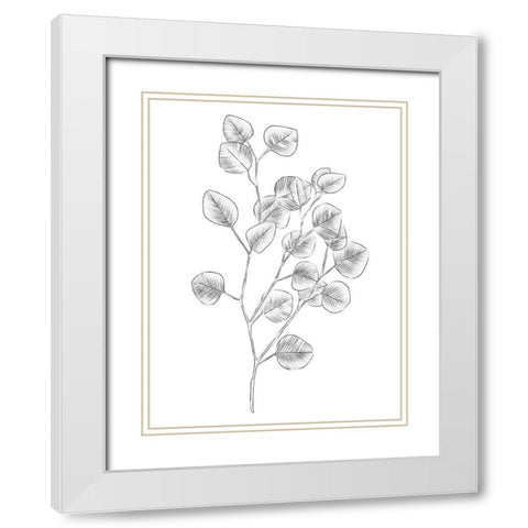 Eucalyptus Sketch III White Modern Wood Framed Art Print with Double Matting by Scarvey, Emma