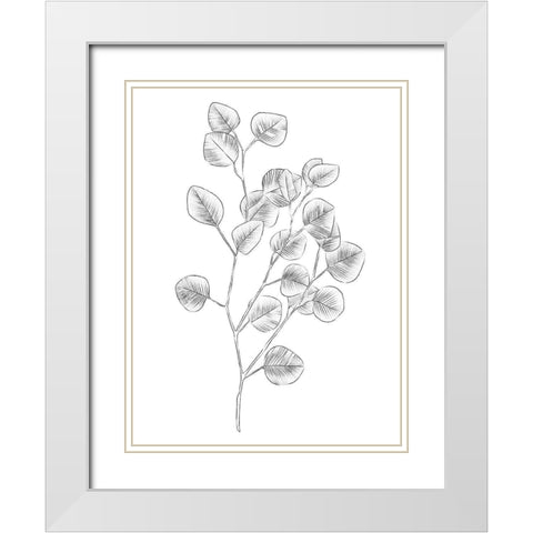 Eucalyptus Sketch III White Modern Wood Framed Art Print with Double Matting by Scarvey, Emma