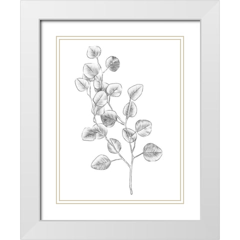 Eucalyptus Sketch IV White Modern Wood Framed Art Print with Double Matting by Scarvey, Emma