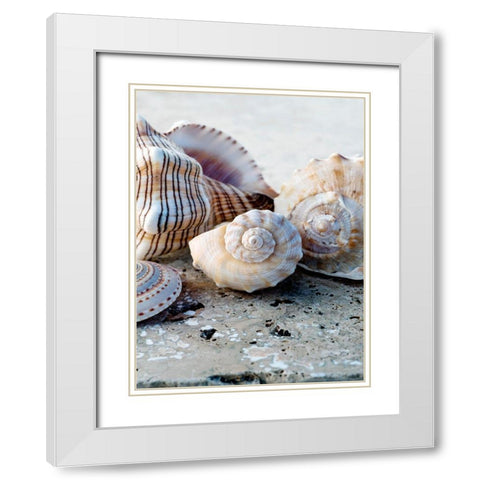 Gifts of the Shore I White Modern Wood Framed Art Print with Double Matting by Ray, Elena