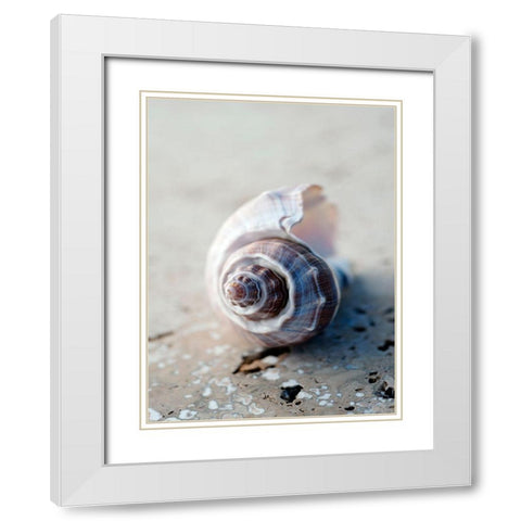 Gifts of the Shore III White Modern Wood Framed Art Print with Double Matting by Ray, Elena