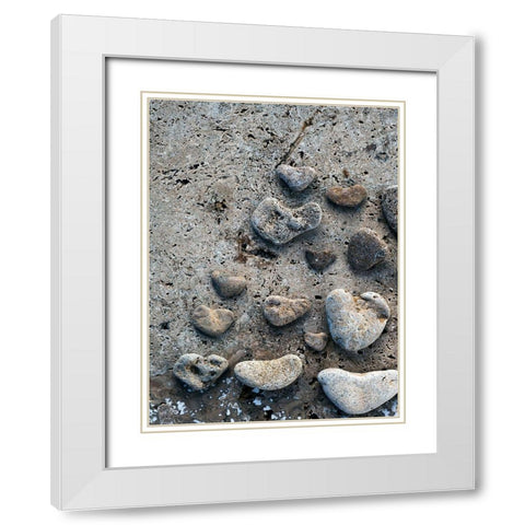 Gifts of the Shore VI White Modern Wood Framed Art Print with Double Matting by Ray, Elena