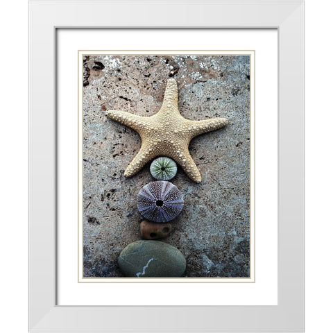 Gifts of the Shore VII White Modern Wood Framed Art Print with Double Matting by Ray, Elena