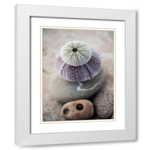 Gifts of the Shore VIII White Modern Wood Framed Art Print with Double Matting by Ray, Elena