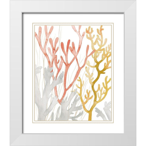 Desert Coral I White Modern Wood Framed Art Print with Double Matting by Popp, Grace