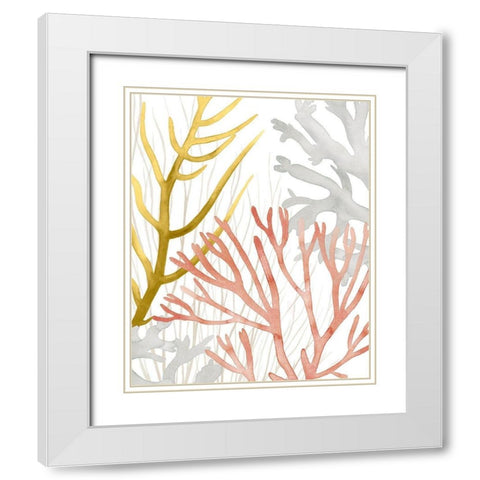 Desert Coral II White Modern Wood Framed Art Print with Double Matting by Popp, Grace