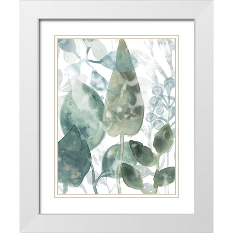 Aquatic Leaves II White Modern Wood Framed Art Print with Double Matting by Vess, June Erica