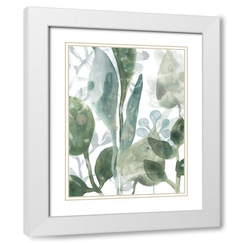 Aquatic Leaves III White Modern Wood Framed Art Print with Double Matting by Vess, June Erica