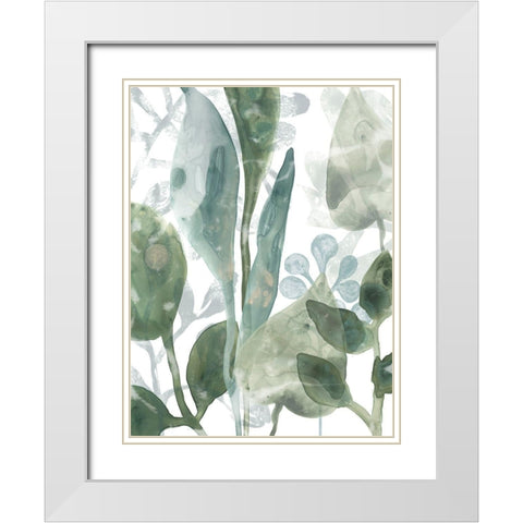 Aquatic Leaves III White Modern Wood Framed Art Print with Double Matting by Vess, June Erica