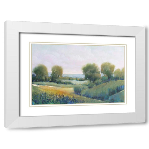 Paysage II White Modern Wood Framed Art Print with Double Matting by OToole, Tim