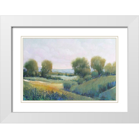 Paysage II White Modern Wood Framed Art Print with Double Matting by OToole, Tim
