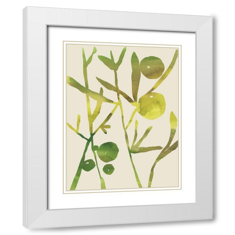 Spring Sprig III White Modern Wood Framed Art Print with Double Matting by Zarris, Chariklia