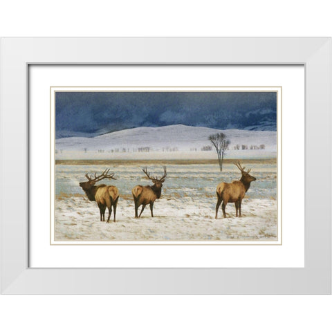 Custom Refuge Elk (ASH) White Modern Wood Framed Art Print with Double Matting by Vest, Chris