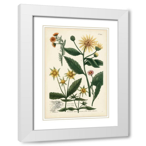 Saffron Garden I White Modern Wood Framed Art Print with Double Matting by Weinmann