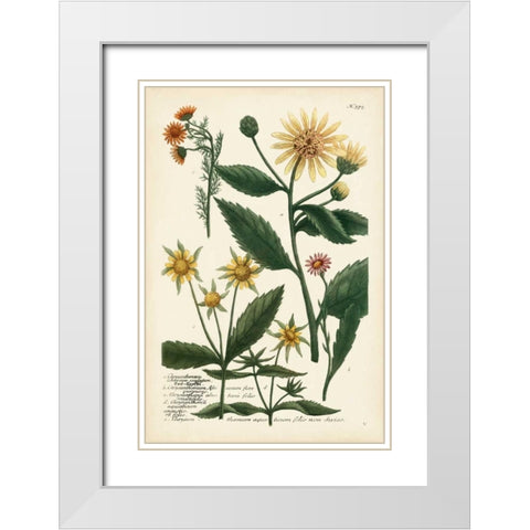Saffron Garden I White Modern Wood Framed Art Print with Double Matting by Weinmann
