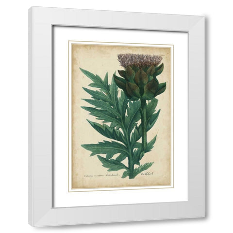 Weinmann Foliage and Fruit II White Modern Wood Framed Art Print with Double Matting by Weinmann