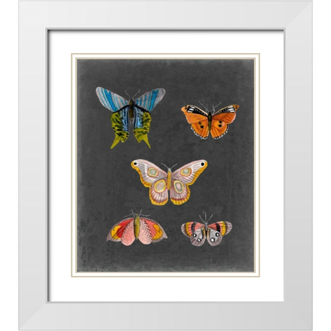 Butterflies on Slate II White Modern Wood Framed Art Print with Double Matting by McCavitt, Naomi