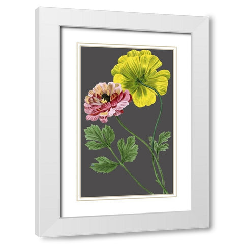 30x18 Midnight Garden Varieties I (ASH) White Modern Wood Framed Art Print with Double Matting by Vision Studio