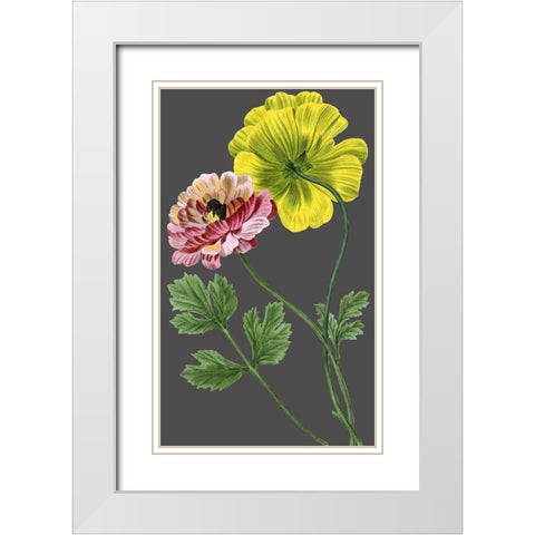 30x18 Midnight Garden Varieties I (ASH) White Modern Wood Framed Art Print with Double Matting by Vision Studio