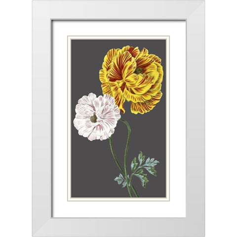 30x18 Midnight Garden Varieties III (ASH) White Modern Wood Framed Art Print with Double Matting by Vision Studio