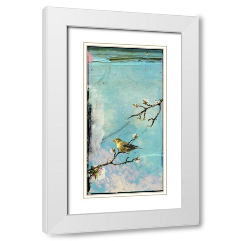 Bird Window II White Modern Wood Framed Art Print with Double Matting by Blixt, Ingrid