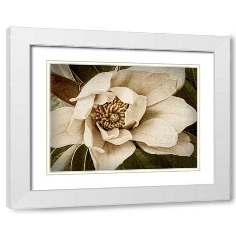 Classic Magnolia I White Modern Wood Framed Art Print with Double Matting by Perry, Rachel