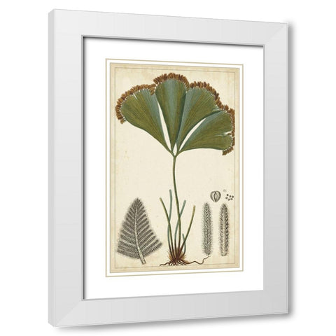 40x24 Foliage Botanique I (ASH) White Modern Wood Framed Art Print with Double Matting by Turpin
