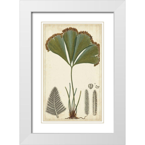 40x24 Foliage Botanique I (ASH) White Modern Wood Framed Art Print with Double Matting by Turpin