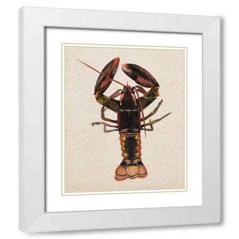 Sea Dweller I White Modern Wood Framed Art Print with Double Matting by Popp, Grace