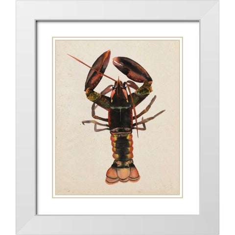 Sea Dweller I White Modern Wood Framed Art Print with Double Matting by Popp, Grace
