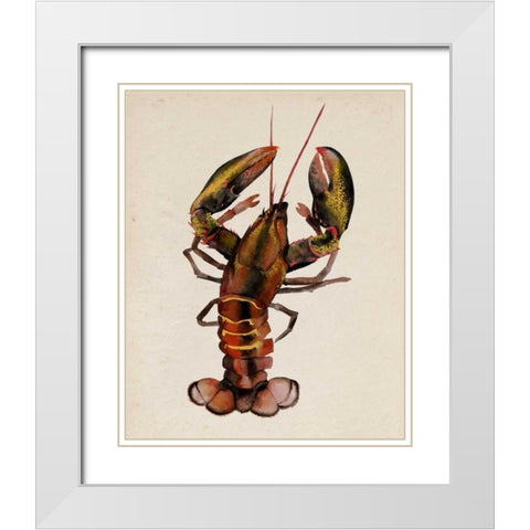 Sea Dweller II White Modern Wood Framed Art Print with Double Matting by Popp, Grace