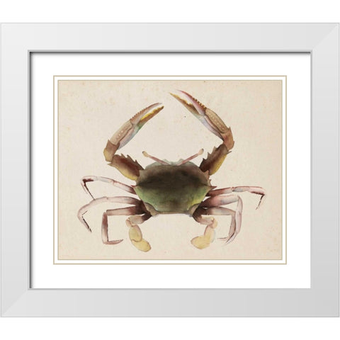Sea Dweller IV White Modern Wood Framed Art Print with Double Matting by Popp, Grace