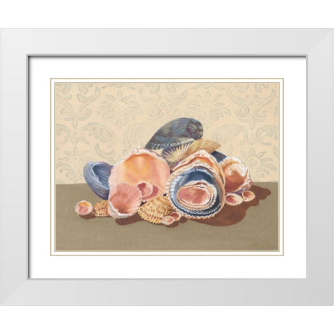 Shell Collection I White Modern Wood Framed Art Print with Double Matting by Miller, Dianne