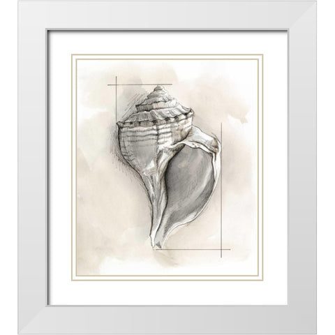 Shell Schematic I White Modern Wood Framed Art Print with Double Matting by Meagher, Megan