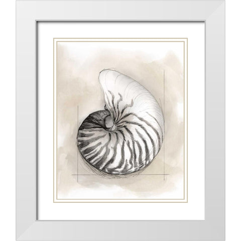 Shell Schematic II White Modern Wood Framed Art Print with Double Matting by Meagher, Megan