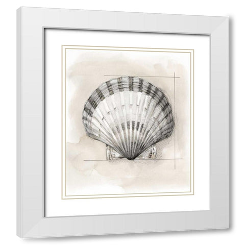 Shell Schematic III White Modern Wood Framed Art Print with Double Matting by Meagher, Megan