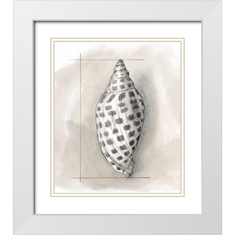 Shell Schematic IV White Modern Wood Framed Art Print with Double Matting by Meagher, Megan