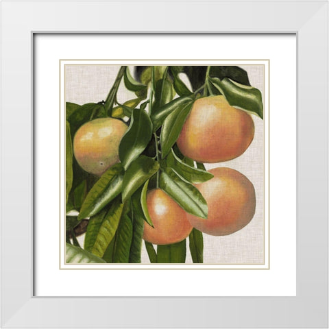 Bright Citrus II White Modern Wood Framed Art Print with Double Matting by McCavitt, Naomi