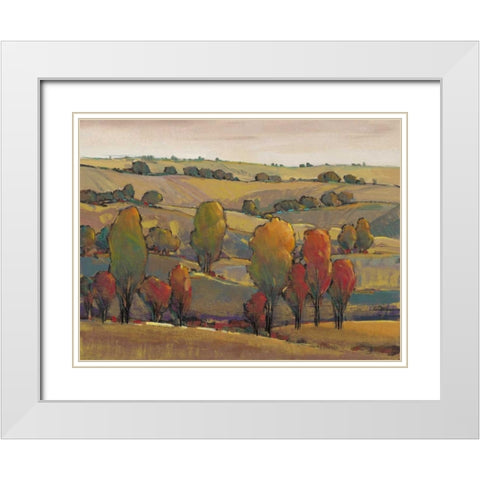 Rolling Hills II White Modern Wood Framed Art Print with Double Matting by OToole, Tim