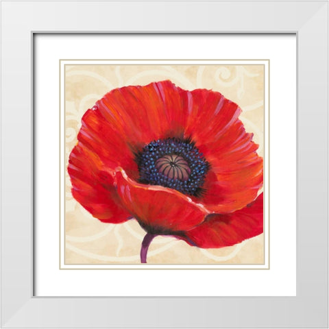 Red Poppy I White Modern Wood Framed Art Print with Double Matting by OToole, Tim