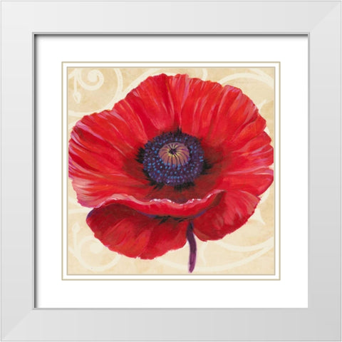 Red Poppy II White Modern Wood Framed Art Print with Double Matting by OToole, Tim