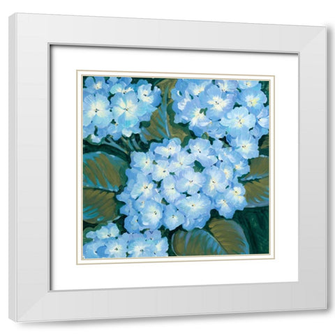 Blue Hydrangeas I White Modern Wood Framed Art Print with Double Matting by OToole, Tim