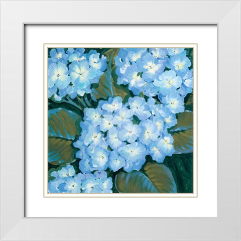 Blue Hydrangeas I White Modern Wood Framed Art Print with Double Matting by OToole, Tim