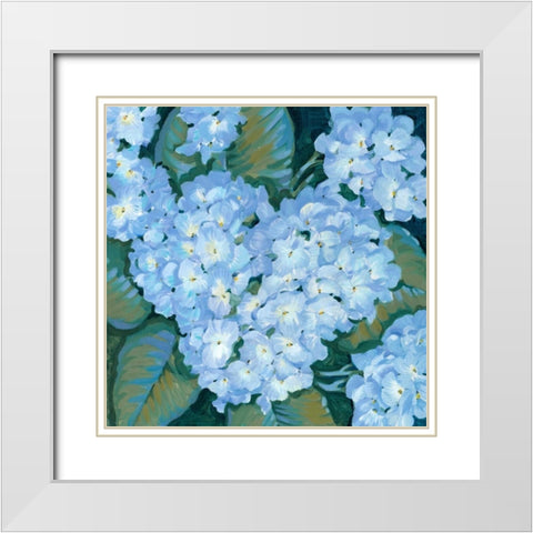 Blue Hydrangeas II White Modern Wood Framed Art Print with Double Matting by OToole, Tim