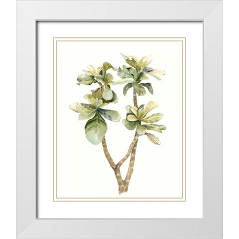 Tropical Watercolor Leaves III White Modern Wood Framed Art Print with Double Matting by Meagher, Megan