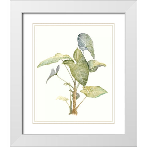 Tropical Watercolor Leaves IV White Modern Wood Framed Art Print with Double Matting by Meagher, Megan